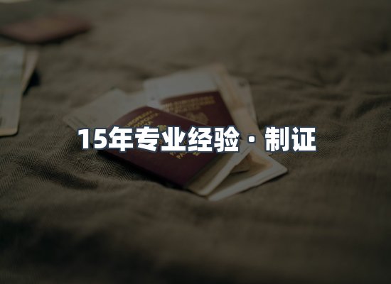 证件页面制证展示